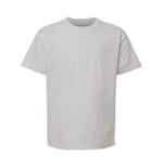 Ash Grey color
