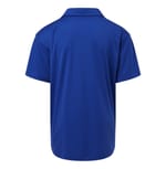 AllPro 41800Y Royal back