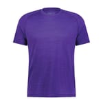Purple Heather