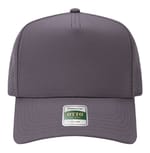 Charcoal Gray