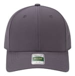 Charcoal Gray