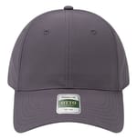 Charcoal Gray