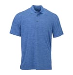 Sky Blue Heather