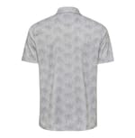 Paragon 154P Silver back