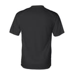 Badger 4120 Black back