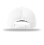 Richardson 173 White back