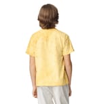 Comfort Colors 1745Y CITRINE back