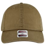 Coyote Brown