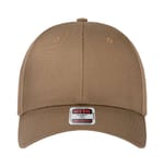 Coyote Brown