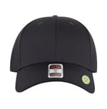 Charcoal Gray