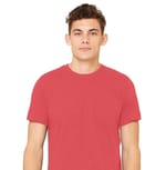Canvas Red