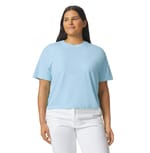 CHAMBRAY