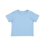 Light Blue color