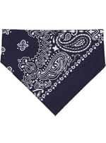 Navy Paisley