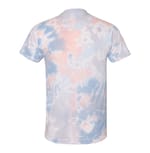 Dyenomite 650DR Coral back