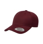 Maroon color