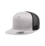 Silver/Black