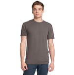 Venetian Gray