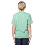 Threadfast Apparel 602A Green Triblend back