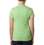 Next Level 6610 Apple Green back