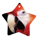 84001-25PK White back