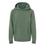 Pigment Alpine Green