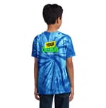 Port & Company PC147Y Royal back