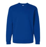 Team Royal Blue/ White