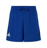 Team Royal Blue/ White