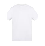 Arctic White