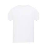 Arctic White