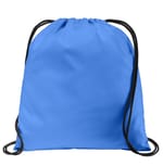 Carolina Blue color