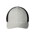 Silver/ Black