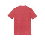 District DM130DTG RedFrost back