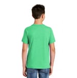 District DT130Y Green Frost back