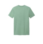 District DT2101 Sage back
