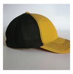 GOLD/ BLACK