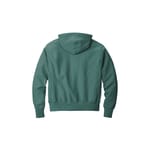 Champion GDS101 Cactus back