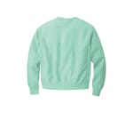 Champion GDS149 PaleSeafm back