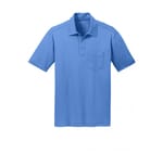 Carolina Blue color