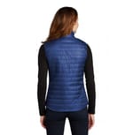 Port Authority L851 Cobalt Blue back