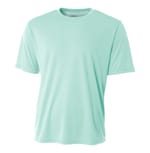 Pastel Mint