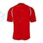 A4 Apparel NB3181 SCARLET/WHITE back