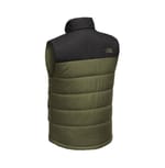 The North Face NF0A529A Burnt Olive Green back