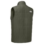 The North Face NF0A8JEW New Taupe Green back