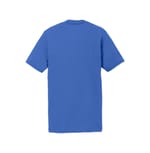 Port & Company PC381Y True Royal back