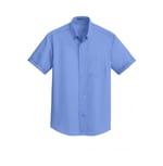 Ultramarine Blue