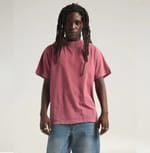 CLAY RED
