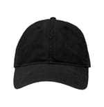 Pigment Black
