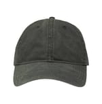 Pigment Olive Green